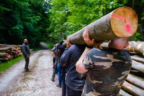 Gruppe trägt einen dicken Baumstamm auf einem Waldweg